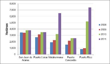Figura 4. Area sembrada con palma de aceite en municipios del AME Macarena entre 2008 y 2011 Fuente: Elaboración propia a partir de i) MADR-Cadenas Productivas, 2010.