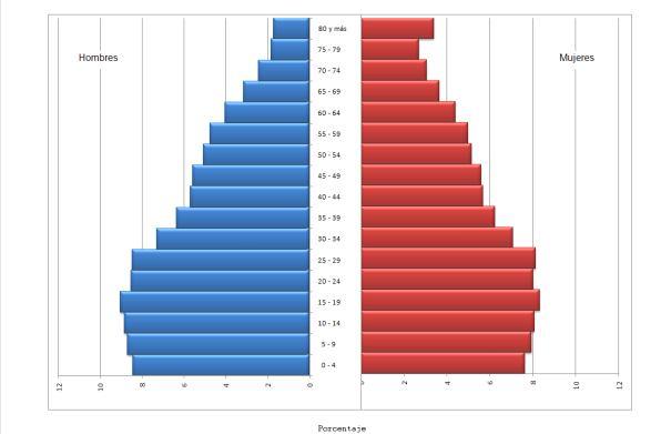 Para construir una pirámide de población se toma la tabla de población por sexo y edad, ubicándose en el eje horizontal a los efectivos de la población masculina y femenina y, en el eje vertical, a
