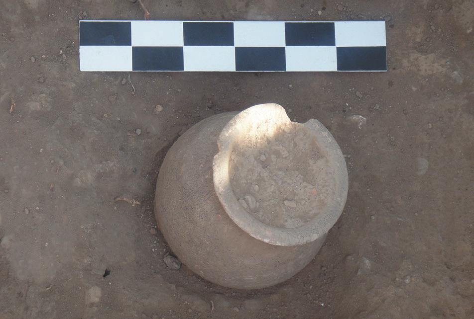 Descripción de las tumbas 53 Figura 2.11. Urna de la tumba 5. Tumba 6 (Trinchera, 2013) Localización: x: 411932; y: 4312739; z: 0,99 a 1,11 cm. Rito funerario. Incineración primaria.
