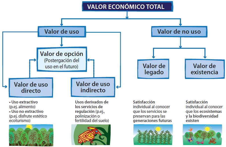 Los valores de no uso se dividen en dos tipos: Valor de existencia: son los valores atribuidos al beneficio que los actores sociales tienen por el hecho de que una especie o ecosistema exista.
