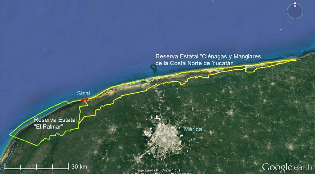 Dentro del litoral del estado de Yucatán han sido establecidas diversas áreas protegidas a nivel Federal y Estatal.