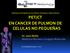 PET/CT EN CANCER DE PULMON DE CELULAS NO PEQUEÑAS