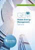 The smart energy management outsourcing GEM. Global Energy Management Service. Expertos en gestión energética