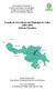 Estudio de Necesidades del Municipio de Ceiba (2004-2005) Informe Ejecutivo