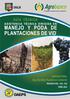 ASISTENCIA TÉCNICA DIRIGIDA EN MANEJO Y PODA DE PLANTACIONES DE VID CONTENIDO