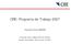 CRE: Programa de Trabajo 2007