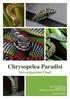 Chrysopelea Paradisi Investigación Final
