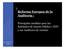 Reforma Europea de la Auditoría : Principales medidas para las Entidades de Interés Público ( EIP) y sus Auditores de cuentas