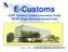 E-Customs CCIP. Common Customs Information Portal SEAP. Single Electronic Access Point