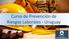Curso de Prevención de Riesgos Laborales - Uruguay