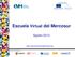 Escuela Virtual del Mercosur