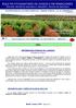 BOLETIN FITOSANITARIO DE AVISOS E INFORMACIONES Dirección General de Agricultura y Ganadería. Servicio de Agricultura