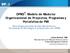 OPM3 : Modelo de Madurez Organizacional de Proyectos, Programas y Portafolios de PMI
