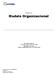 Q-flow 3.2 Modelo Organizacional. Urudata Software Canelones 1370 Piso 2 CP11200 Montevideo, Uruguay Teléfono: (598) 2900 76 68 Fax: 2900 78 56