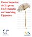 Curso Superior de Experto Universitario en Coaching