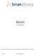 Scrum. una descripción. Traducido y revisado por Xavier Quesada Allue, Alan Cyment y Martín Alaimo Marzo 2013