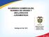ACUERDOS COMERCIALES, NORMAS DE ORIGEN Y DECLARACION JURAMENTADA. Santiago de Cali, 2010