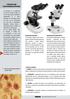 TIPOS DE MICROSCOPIOS