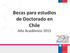 Becas para estudios de Doctorado en Chile Año Académico 2015