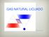 GAS NATURAL LICUADO FLAVUM EVEXI SA DE CV