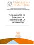 LINEAMIENTOS DE ESQUEMAS DE SEGURIDAD DE LA INFORMACIÓN