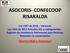 ASOCORIS- CONFECOOP RISARALDA