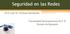 Seguridad en las Redes