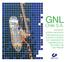 GNL. Chile S.A. Invitación pública nacional e internacional para suscribir contratos por capacidad de regasificación y suministro de Gas Natural