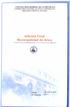 Informe Final Municipalidad de Arica
