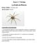 Tarea 1: 1 Entrega La Araña de Rincón