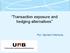 Transaction exposure and hedging alternatives. Por: Myriam Hikimura