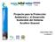 Proyecto para la l Protección Ambiental y el Desarrollo Sostenible del Sistema Acuífero Guaraní. Jorge Néstor Santa