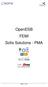 OpenESB FEMI Sofis Solutions - PMA