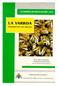 PARÁSITO DE LAS ABEJAS