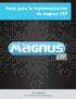 Pasos para la implementación de Magnus ERP