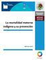 La mortalidad materna indígena y su prevención