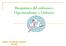 Bioquímica del embarazo: Hipotiroidismo y Diabetes. Esther Fernández Grande R2 ACL