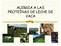 ALERGIA A LAS PROTEÍNAS DE LECHE DE VACA
