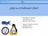 Qué es el Software Libre?