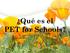 Qué es el PET for Schools?