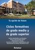 Ciclos formativos de grado medio y de grado superior