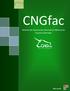 CNGfac. Sistema de Facturación Electrónica Manual de Usuario Operador. Microsoft