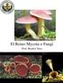 El Reino Mycota o Fungi. Prof. Beatriz Vera