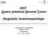 GIST Gastro Intestinal Stromal Tumor Diagnòstic Anatomopatològic