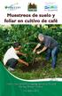 Muestreos de suelo y foliar en cultivo de café