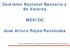 Comisión Nacional Bancaria y de Valores MEXICO. José Arturo Rojas Ruvalcaba