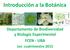 Introducción a la Botánica. Departamento de Biodiversidad y Biología Experimental FCEN - UBA