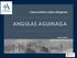 Caso práctico sobre alérgenos ANGULAS AGUINAGA. Javier Cañada