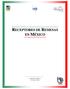 Índice INTRODUCCIÓN 5 INVESTIGACIÓN DEL MERCADO MEXICANO 15 GRUPOS FOCALES 39 RESUMEN EJECUTIVO... 41 INTRODUCCIÓN... 42 PORQUÉ LA GENTE EMIGRA?...