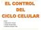 Autores: Estela García Jimenez Vanesa Herrada Rojas Guillermo Gambero Mota